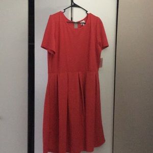 Brand new lularoe Amelia.